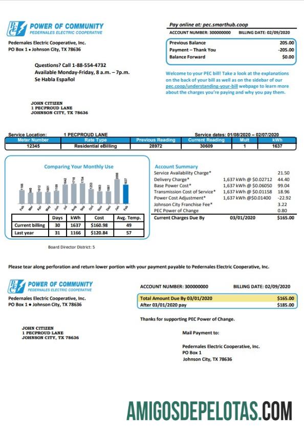 Conta de serviços públicos de energia elétrica comunitária dos EUA Texas em formato Word e PDF, boa para comprovação de endereço baixar para verificação